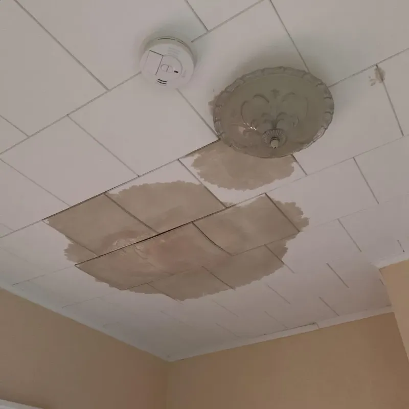 Ceiling Water Damage Repair in Frederick, OK
