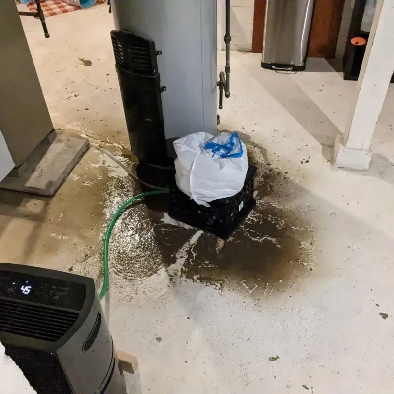Sewage Backup Cleanup Service in Frederick, OK